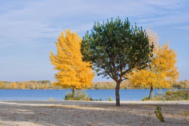 Farklı dünyalardan üç arkadaş.