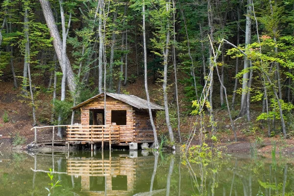 Tourist shelter in a forest.