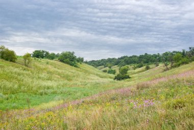 Bulutlu yaz gününde Ukrayna 'da tepelik alanlar.