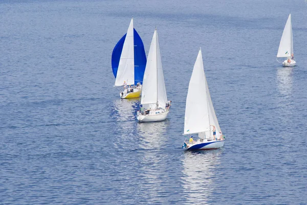 Lokale Regatta Een Rivier — Stockfoto