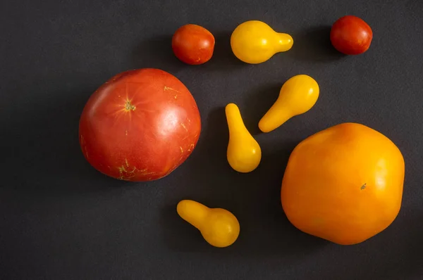 Draufsicht Auf Verschiedene Arten Von Bio Tomaten Auf Schwarzem Hintergrund — Stockfoto