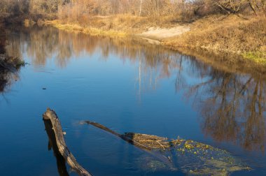 Sonbaharın sonlarında Vorskla nehrinde güzel bir sabah manzarası, Poltavskaya oblast, Ukrayna