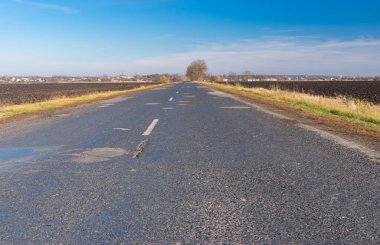 Poltavskaya oblast 'taki boş asfalt yolu ile sonbahar manzarası, merkez Ukrain