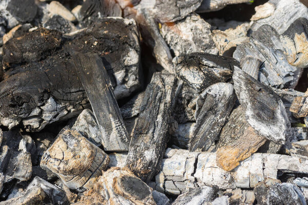 Близкая картина живых углей в выгорании костра