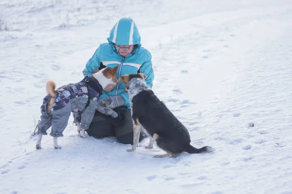 Gammal Kvinna Mata Basenji Och Blandras Hund Medan Sitter Snötäckt — Stockfoto