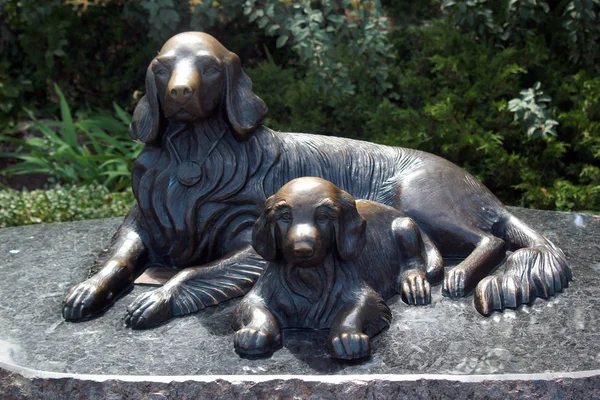 Kiev Ukraine Juni 2018 Skulptur Retriever Von Oleksiy Shamshura Gewidmet — Stockfoto