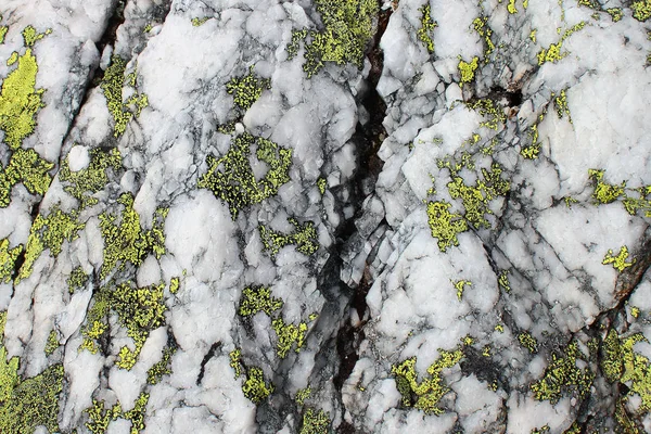 挪威石英岩上的黄地图地衣 根瘤菌 — 图库照片