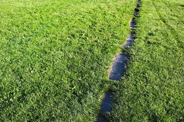 Stenen Pad Gras — Stockfoto