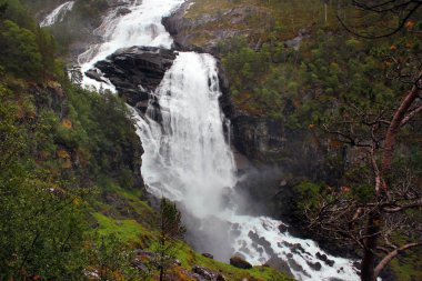 Nyastolfossen düştü, Husedalen Vadisi, Kinsarvik, Norveç 'teki dört şelalenin ikincisi.