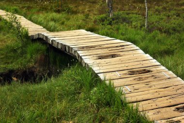 Ahşap plakalar yol boyunca bataklık zemin
