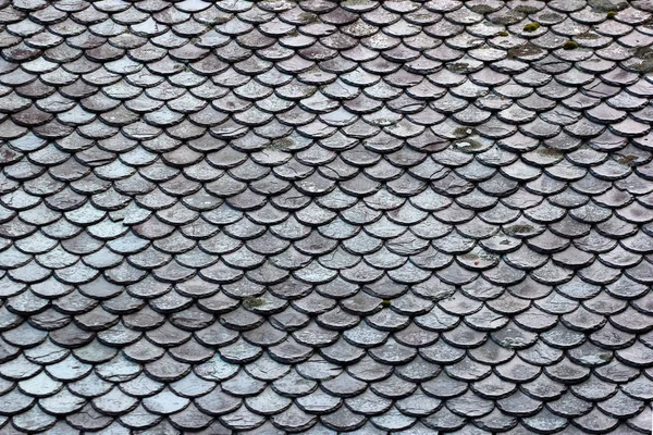 Stary Tradycyjnych Wyblakły Kamienny Dach Norwegii — Zdjęcie stockowe