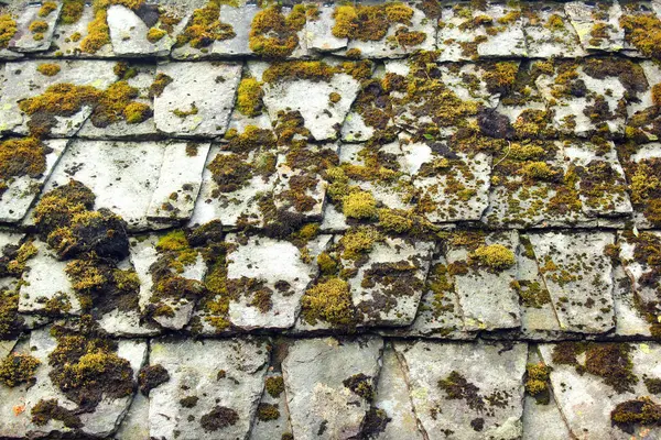 Old Traditional Moss Covered Stone Roof Norway — Stock Photo, Image