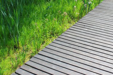 Yeşil çim zemin üzerine ahşap zemin