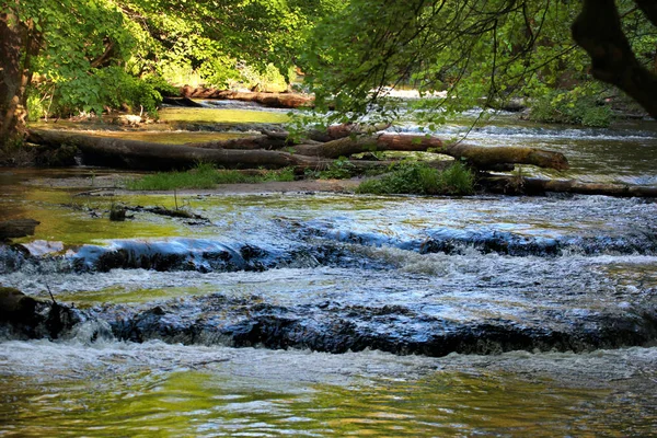 Nad Tanwia doğa rezerv Puszcza Solska Peyzaj Park, Doğu Polonya