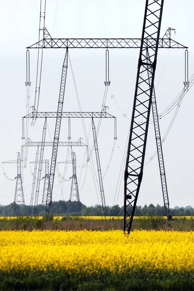 Power Line Pylons Gula Rapsfält — Stockfoto