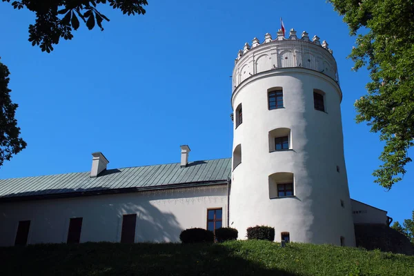 Château Royal Casimir Przemysl Pologne — Photo