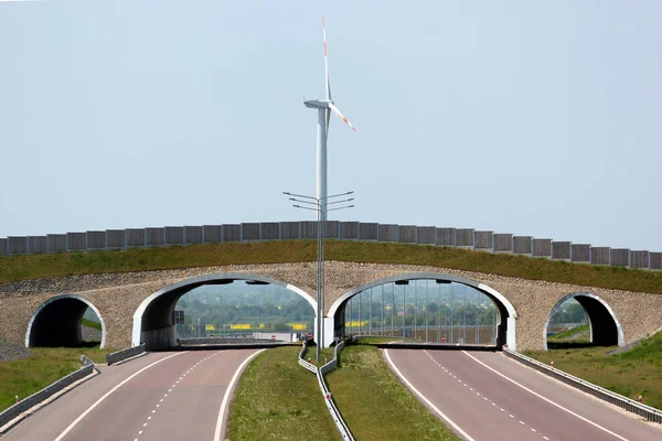 波兰东部 汽车公路上的野生动物立交桥 — 图库照片