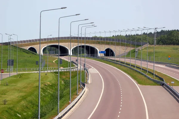 波兰东部 汽车公路上的野生动物立交桥 — 图库照片