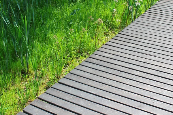 Yeşil çim zemin üzerine ahşap zemin