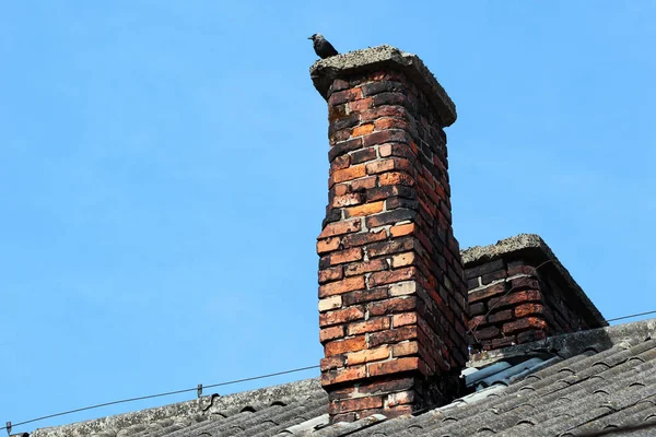 Bird Top Old Brick Smokestack — Stock Photo, Image