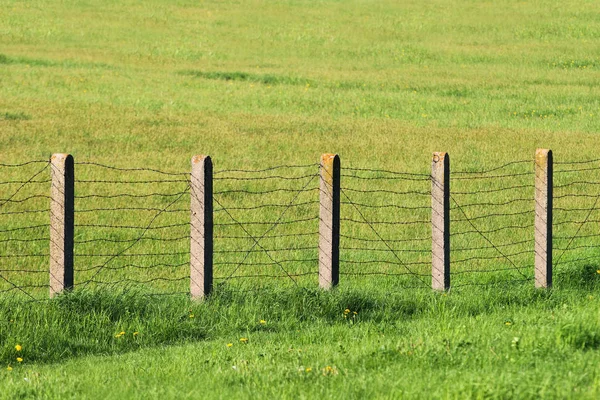 Recinzione Filo Spinato Erba Verde — Foto Stock