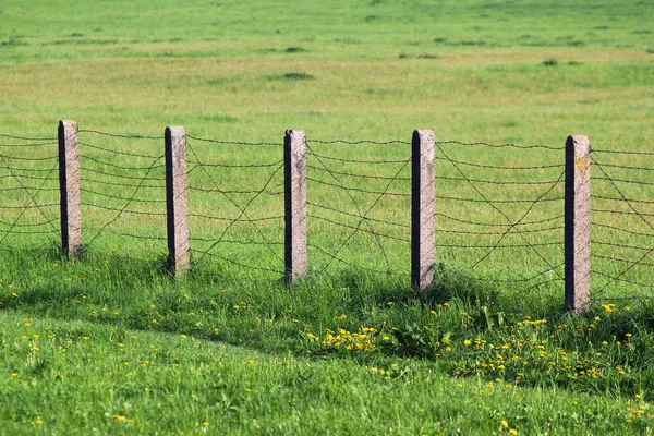 Φράχτη Από Αγκαθωτό Σύρμα Για Την Πράσινη Χλόη — Φωτογραφία Αρχείου