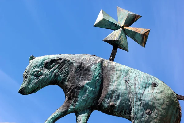 Przemysl Polonia Mayo 2018 Veleta Meteorológica Instalada Parte Superior Torre — Foto de Stock