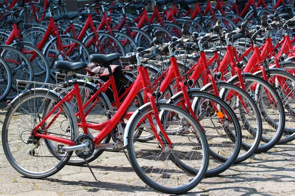 Zwierzyniec Polonia Mai 2018 Închiriere Biciclete Fabrica Bere Zwierzyniec Ciclismul — Fotografie, imagine de stoc