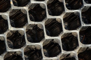 Boş plastik bitki kapları ve tohum kapsayıcılar