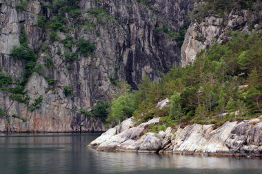 Uçurum ve kayalık kıyıları Lysefjord, Norveç
