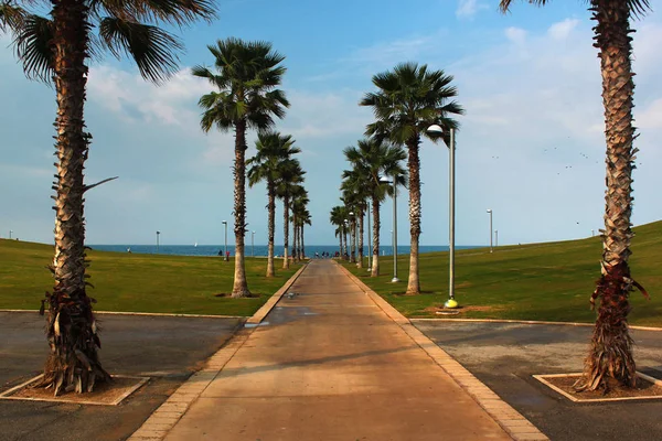 Parque frente al mar en Tel Aviv, Israel — Foto de Stock