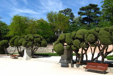 Heykel selvi ağaçları Buen Retiro Parkı, Madrid, İspanya