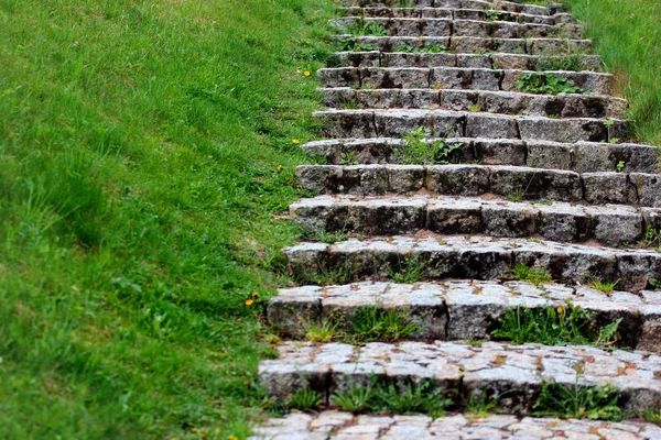 Старая каменная лестница на зеленом травяном склоне — стоковое фото