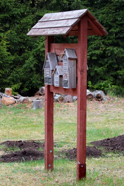 Insect hotel in een forest — Stockfoto