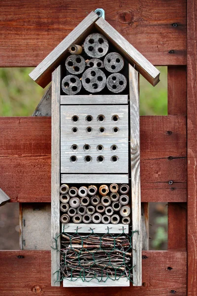 Insect hotel in a forest — Stock Photo, Image