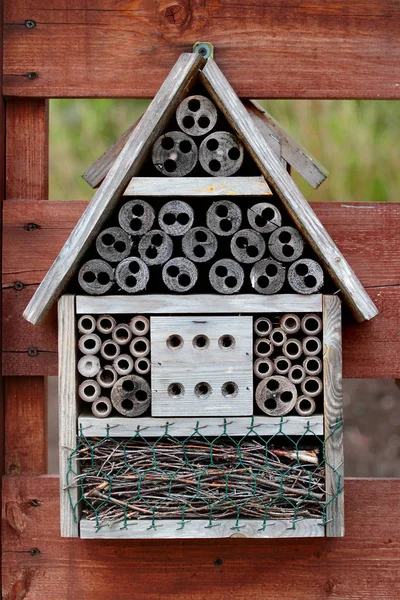 Insect hotel in een forest — Stockfoto