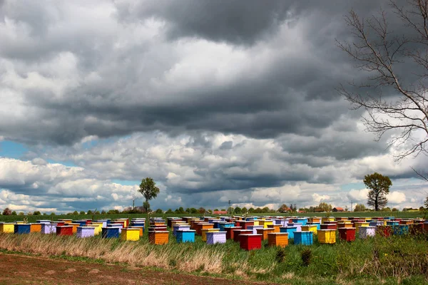 Ruches d'abeilles colorées dans une campagne — Photo