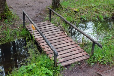 bir ormandaki küçük ahşap köprü