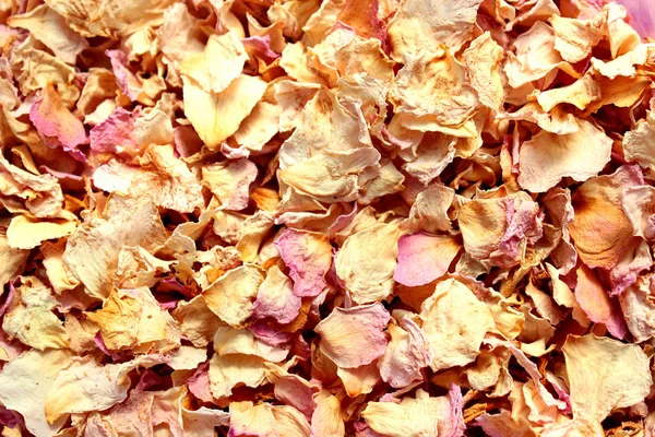 Pétalos de rosa secos como fondo — Foto de Stock