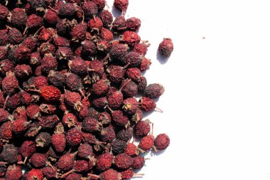 Tarçın gül kurutulmuş meyveleri (Rosa majalis)