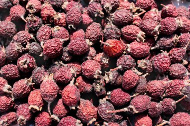 Tarçın gül kurutulmuş meyveleri (Rosa majalis)