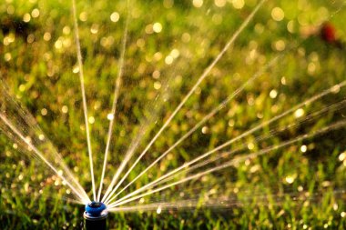 Yeşil çimüzerinde dönen fıskiye