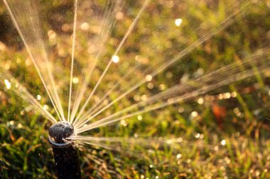 Yeşil çimüzerinde dönen fıskiye