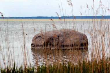 Kutsal taş, Tolkmicko yakınlarındaki Vistula lagün düzensiz bir kaya ve ünlü doğal anıt, Kuzey Polonya.