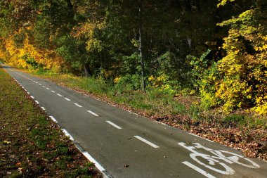 Sonbaharın başlarında boş bisiklet yolu
