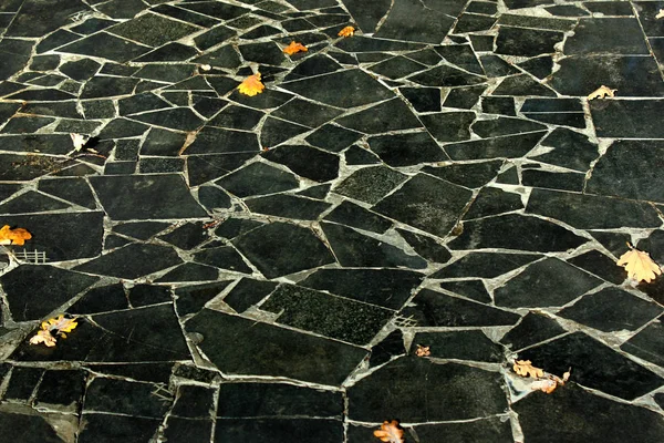 Yellow leaves on black tiles in a park — Stock Photo, Image