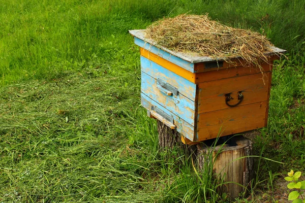 Houten bijenkorf op groen gras — Stockfoto