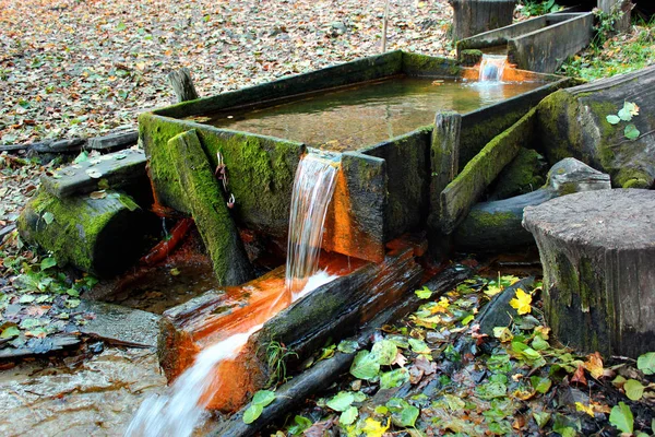 Fonte de água na floresta de outono — Fotografia de Stock