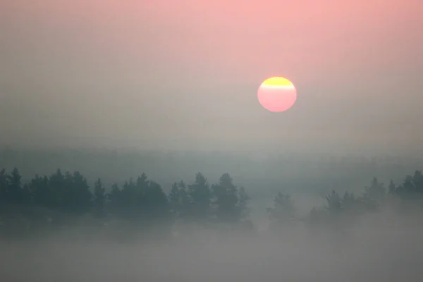 Sole mattutino rosso, alba nebbiosa — Foto Stock