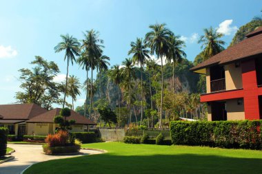 Tonsai, Tayland - 8 Aralık 2019: Tonsai Körfezi Tatil Köyü, Ton Sai Sahili, Krabi 'de ağaçlar ve dramatik uçurumlarla çevrili manzaralı ve sakin bir sahil.